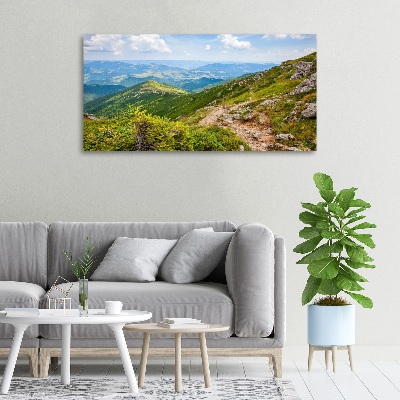 Tableau mural sur toile Collines vertes