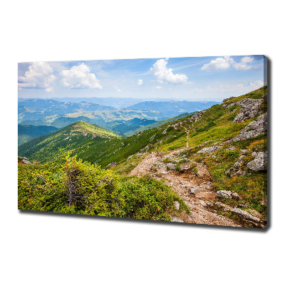 Tableau mural sur toile Collines vertes