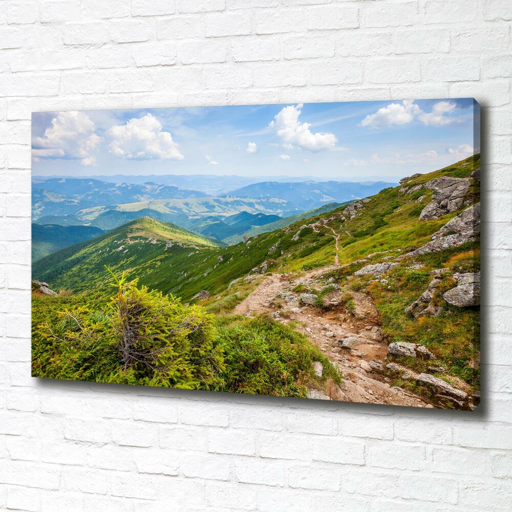 Tableau mural sur toile Collines vertes