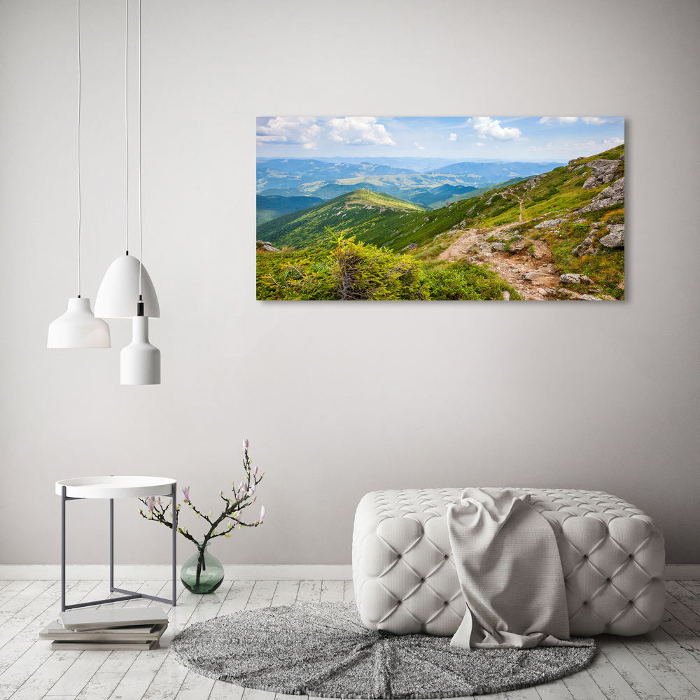 Tableau mural sur toile Collines vertes