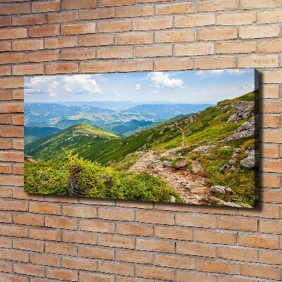 Tableau mural sur toile Collines vertes