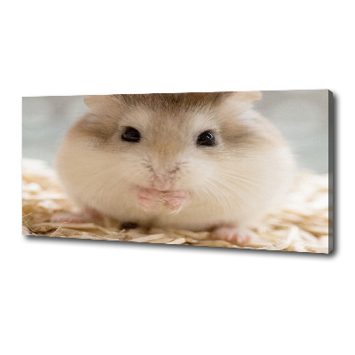 Tableau imprimé sur toile Hamster