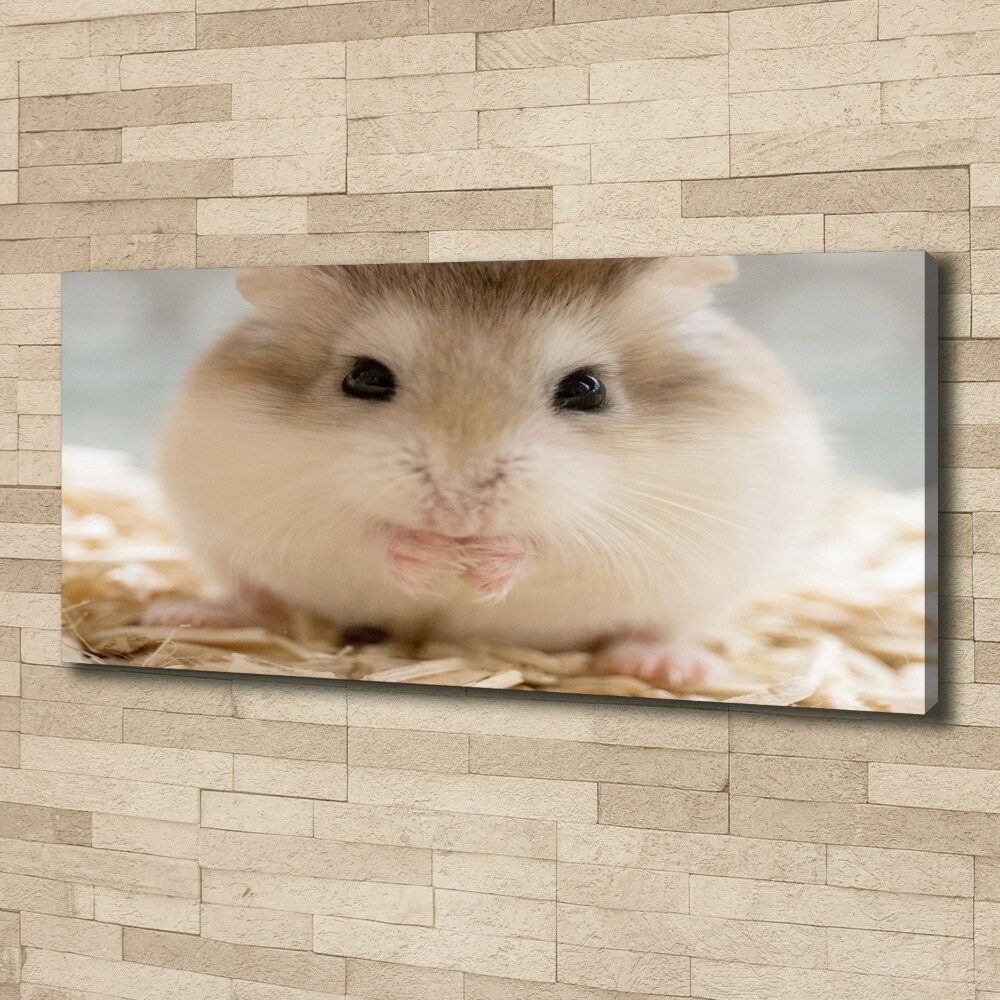 Tableau imprimé sur toile Hamster