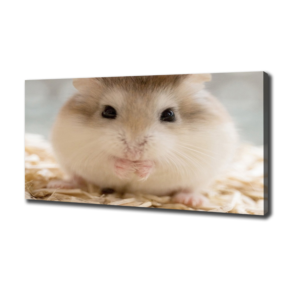 Tableau imprimé sur toile Hamster