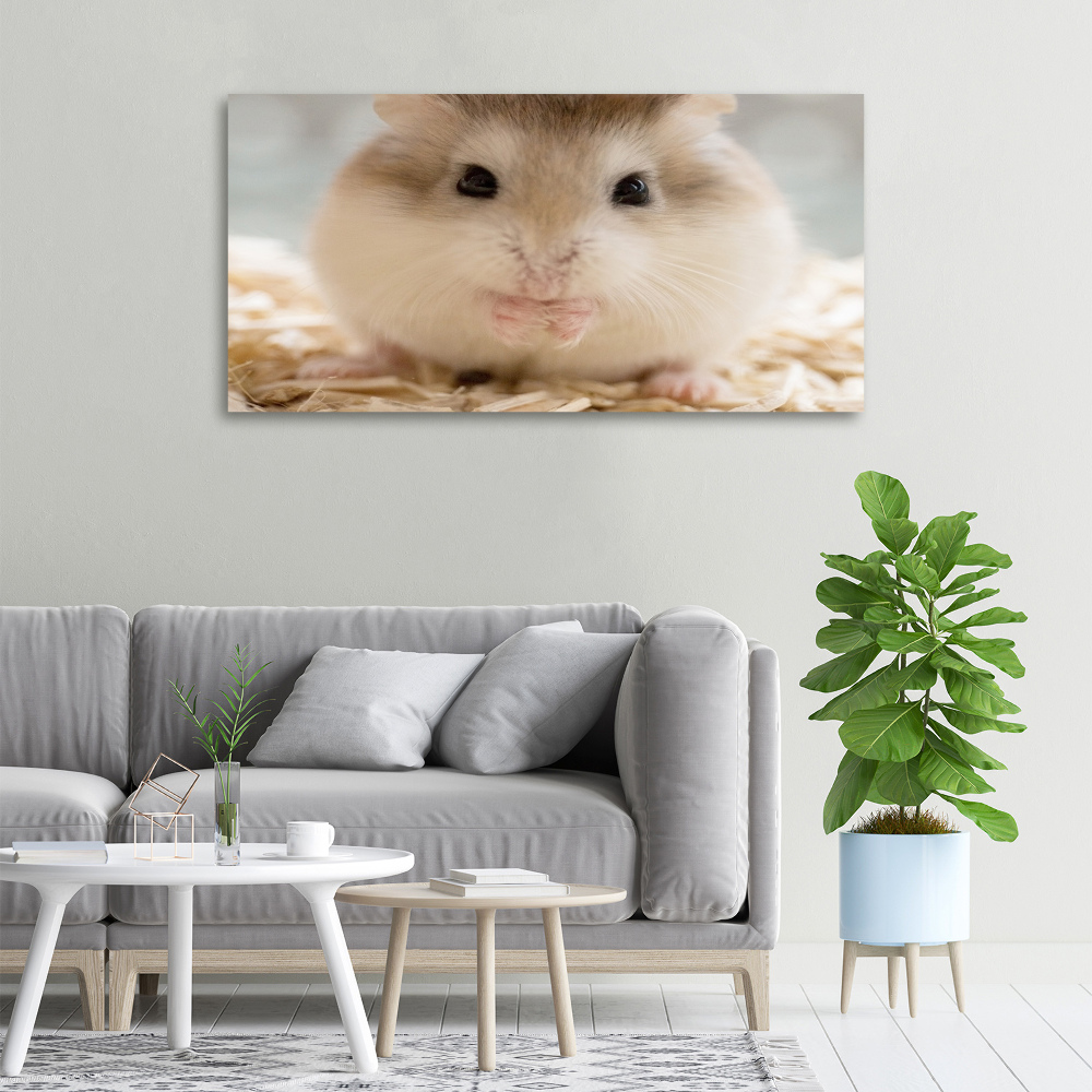 Tableau imprimé sur toile Hamster