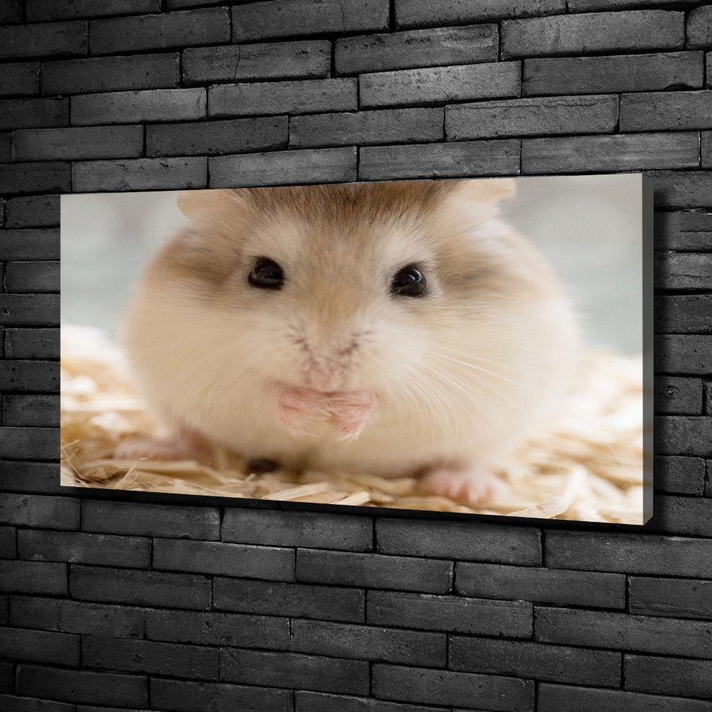 Tableau imprimé sur toile Hamster