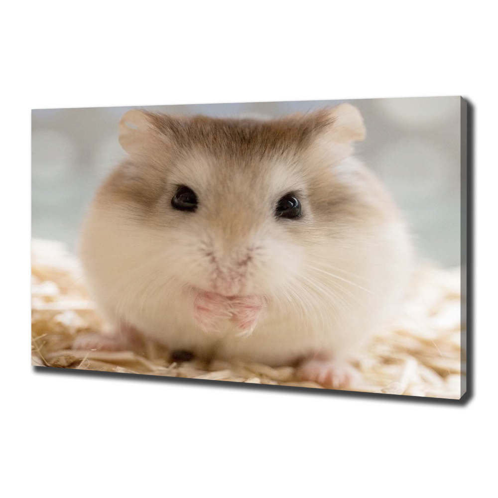 Tableau imprimé sur toile Hamster