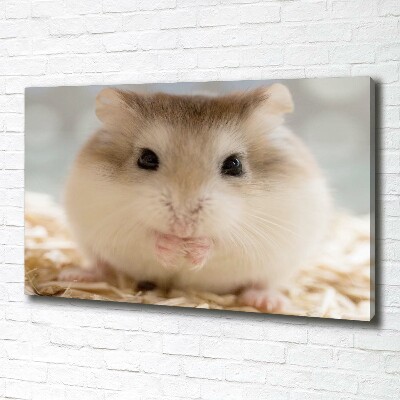 Tableau imprimé sur toile Hamster