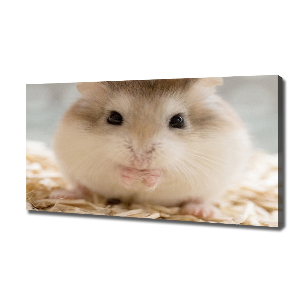 Tableau imprimé sur toile Hamster