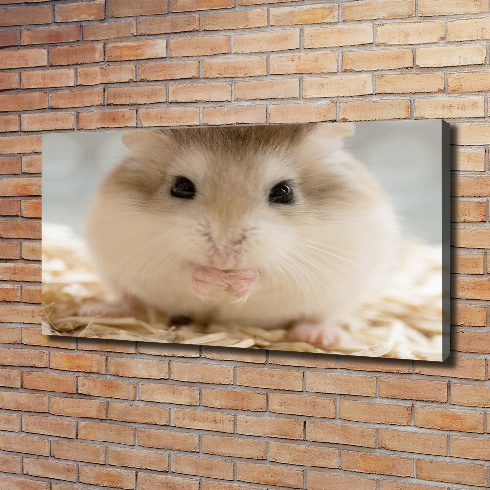 Tableau imprimé sur toile Hamster