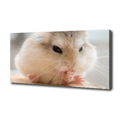 Tableau photo sur toile Hamster