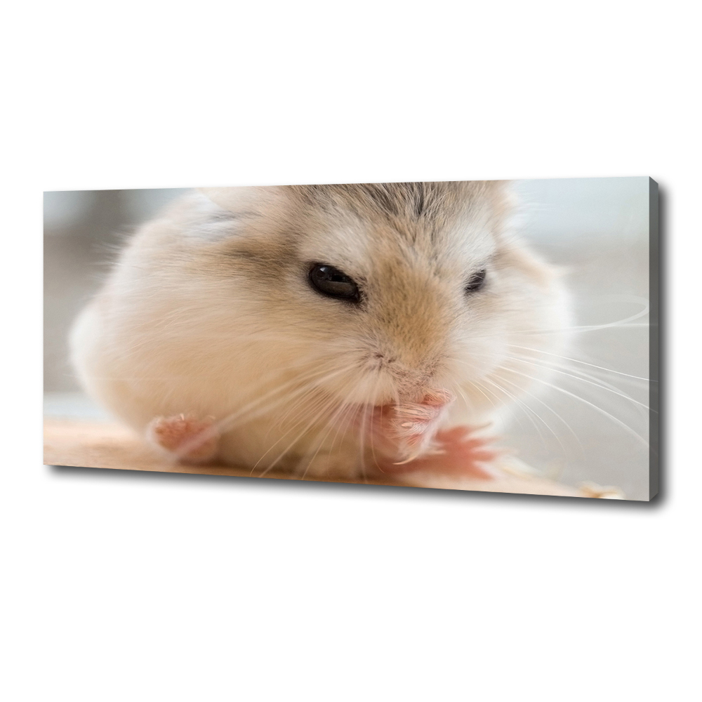 Tableau photo sur toile Hamster