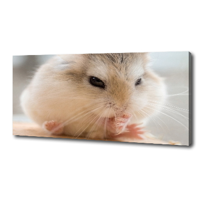 Tableau photo sur toile Hamster