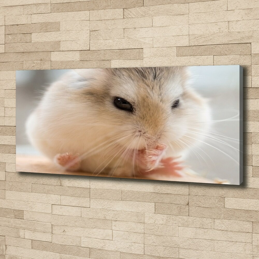 Tableau photo sur toile Hamster