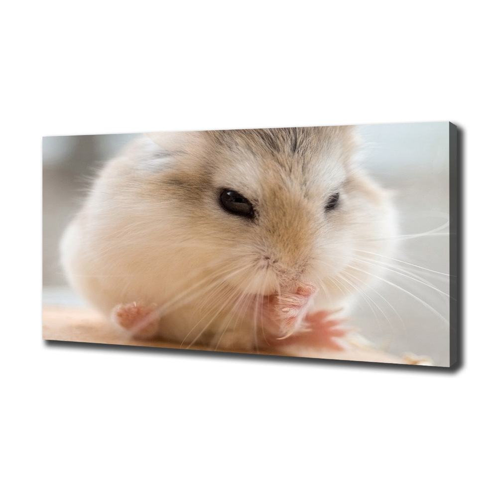 Tableau photo sur toile Hamster