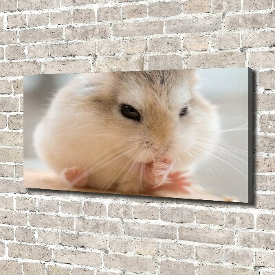 Tableau photo sur toile Hamster