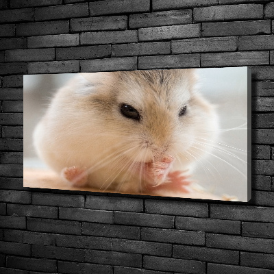 Tableau photo sur toile Hamster