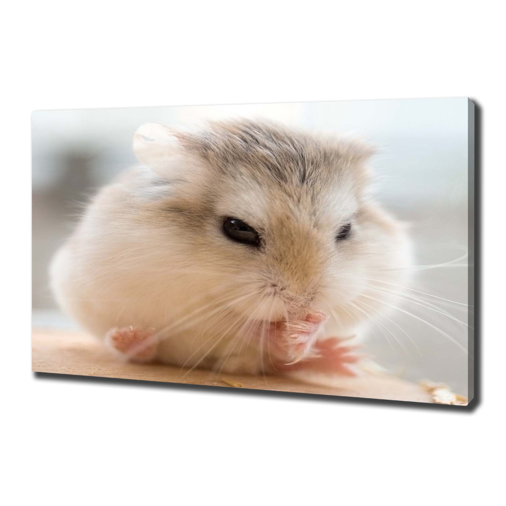 Tableau photo sur toile Hamster