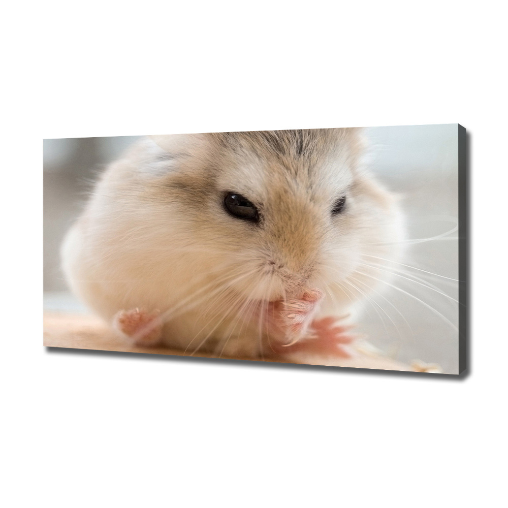 Tableau photo sur toile Hamster