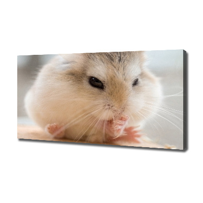 Tableau photo sur toile Hamster