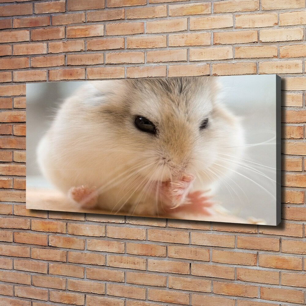 Tableau photo sur toile Hamster