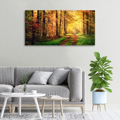 Tableau sur toile Forêt d'automne