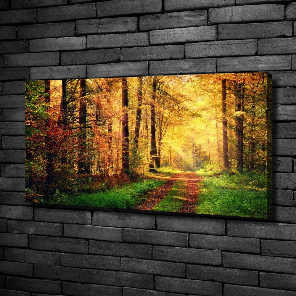 Tableau sur toile Forêt d'automne