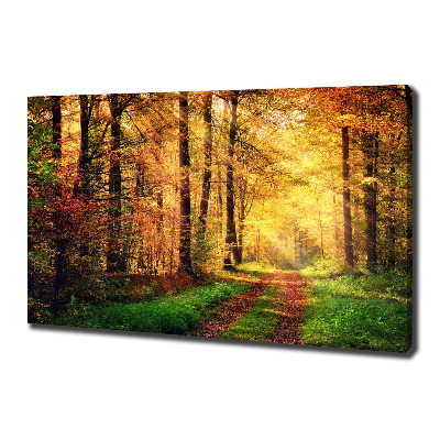 Tableau sur toile Forêt d'automne