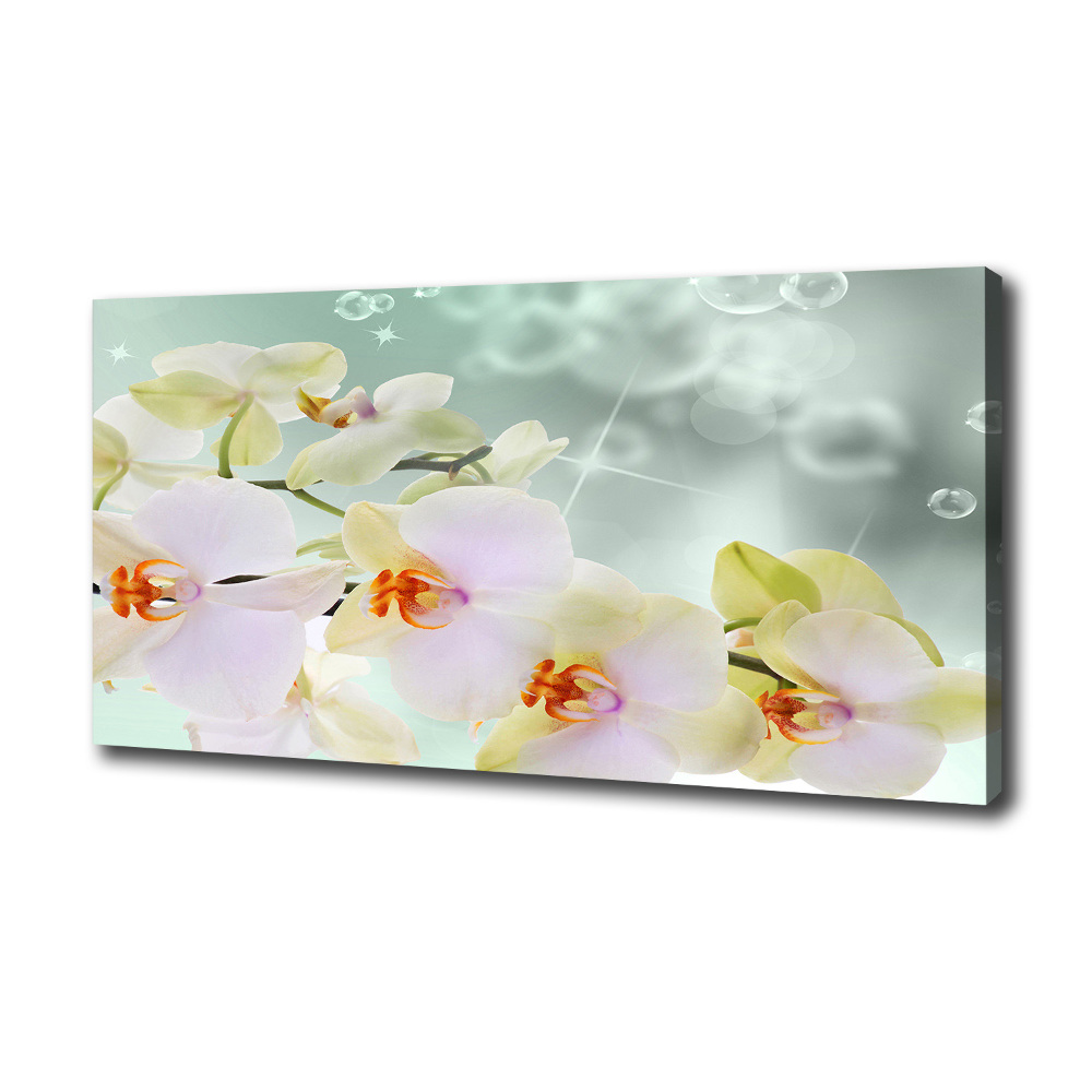 Tableau toile imprimée Orchidée blanche