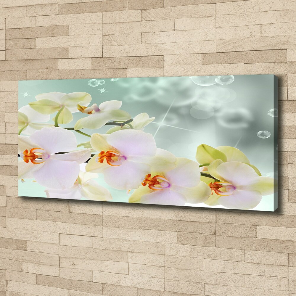 Tableau toile imprimée Orchidée blanche