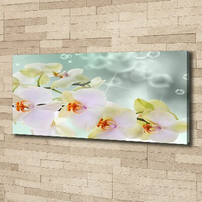 Tableau toile imprimée Orchidée blanche