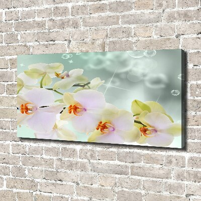 Tableau toile imprimée Orchidée blanche