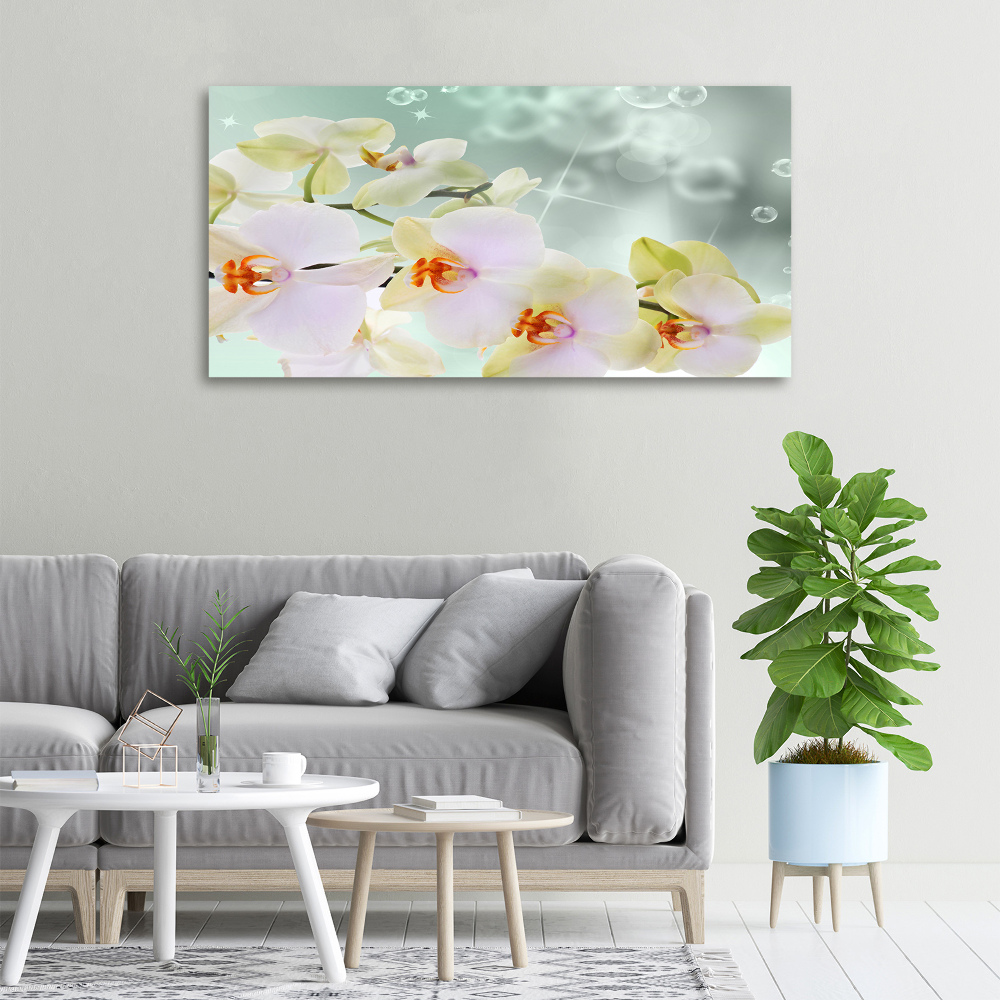 Tableau toile imprimée Orchidée blanche