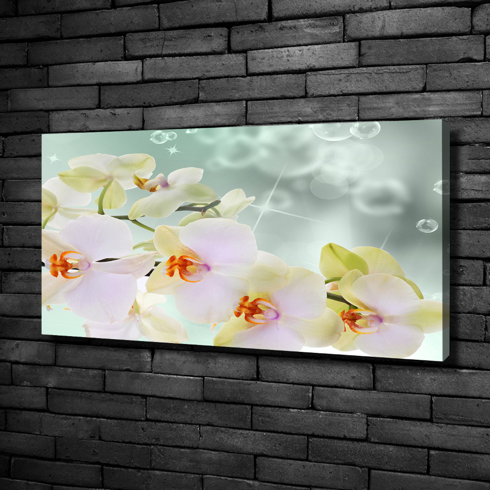 Tableau toile imprimée Orchidée blanche