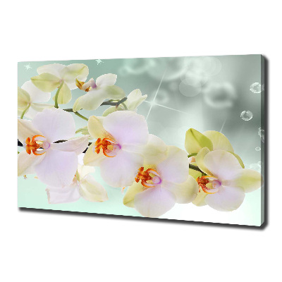 Tableau toile imprimée Orchidée blanche