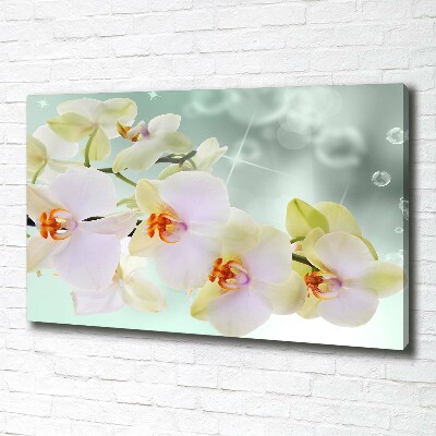 Tableau toile imprimée Orchidée blanche