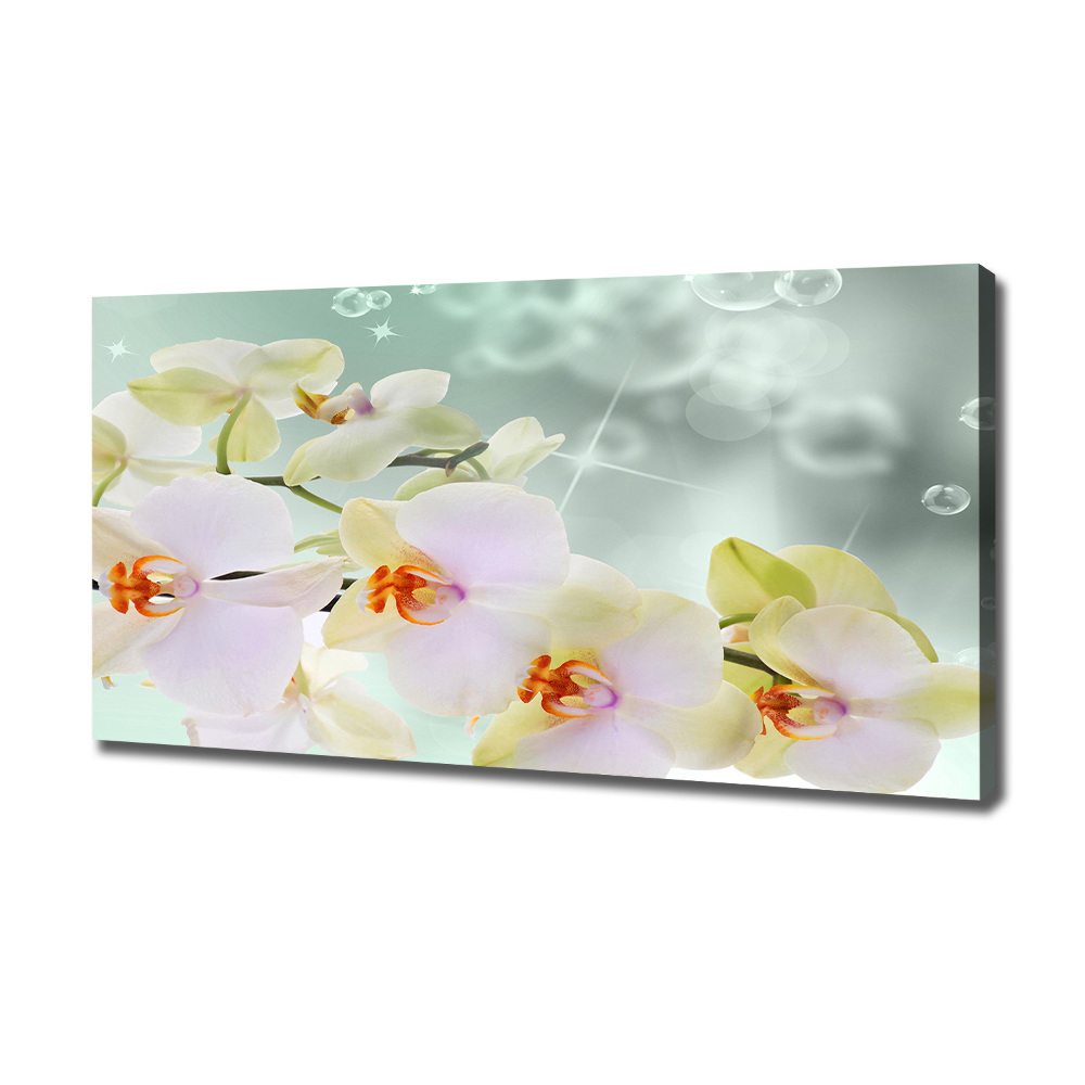 Tableau toile imprimée Orchidée blanche