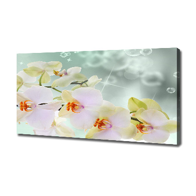 Tableau toile imprimée Orchidée blanche