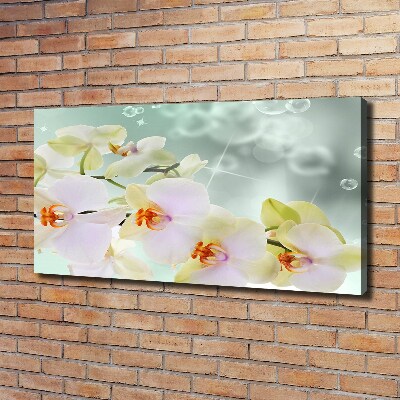 Tableau toile imprimée Orchidée blanche