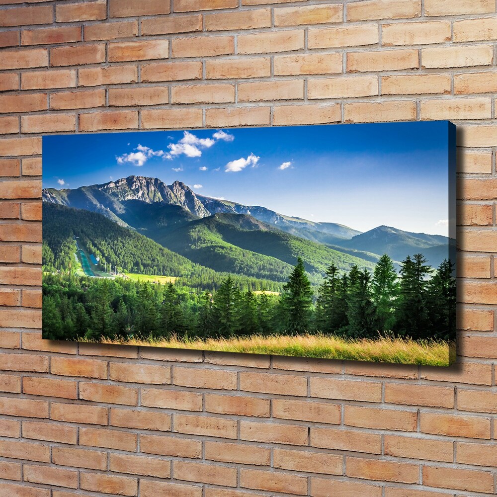 Tableau photo sur toile Saut à ski dans les Tatras