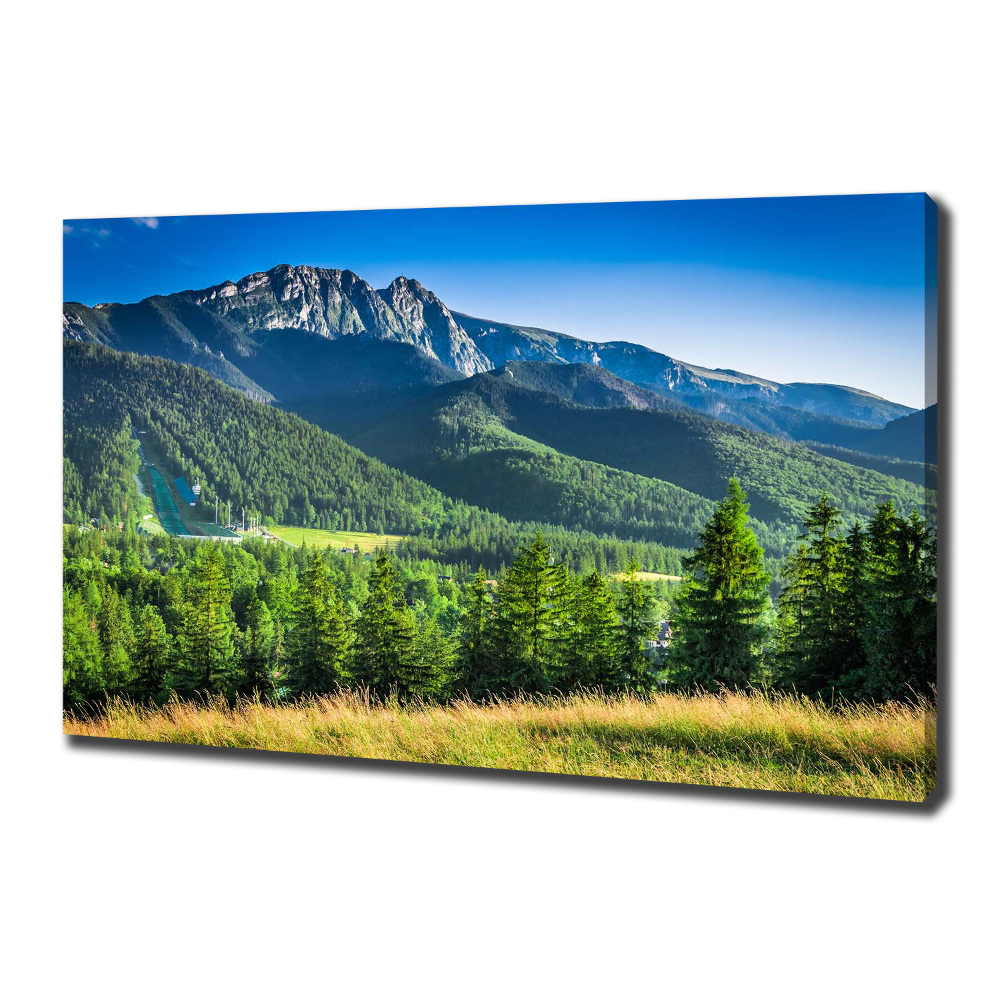 Tableau mural sur toile Saut à ski dans les Tatras