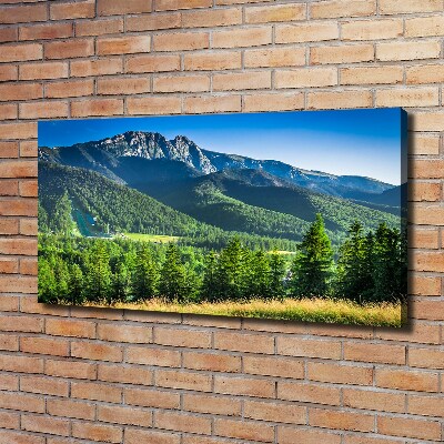 Tableau mural sur toile Saut à ski dans les Tatras