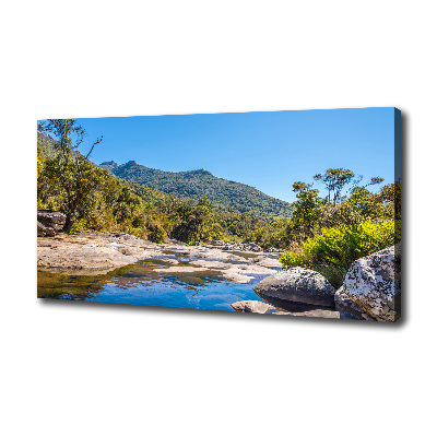 Tableau imprimé sur toile Rivière dans la forêt