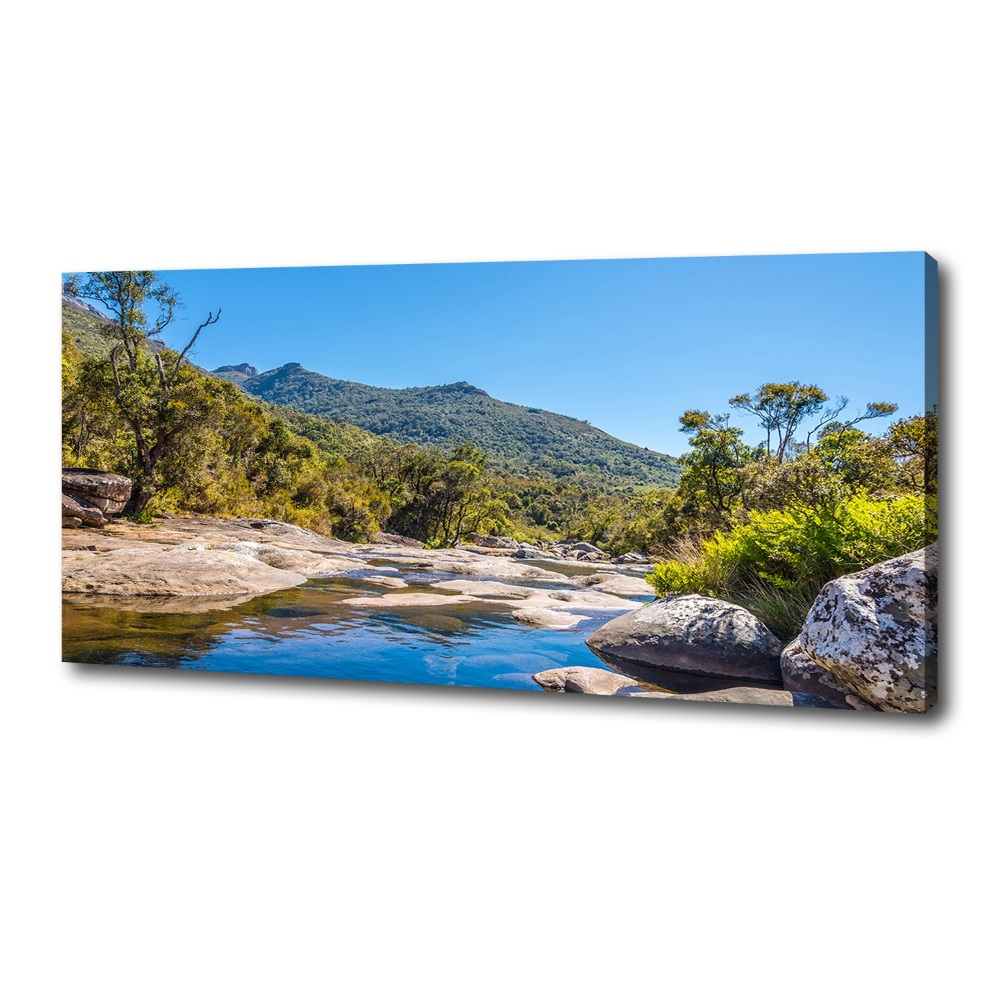 Tableau imprimé sur toile Rivière dans la forêt