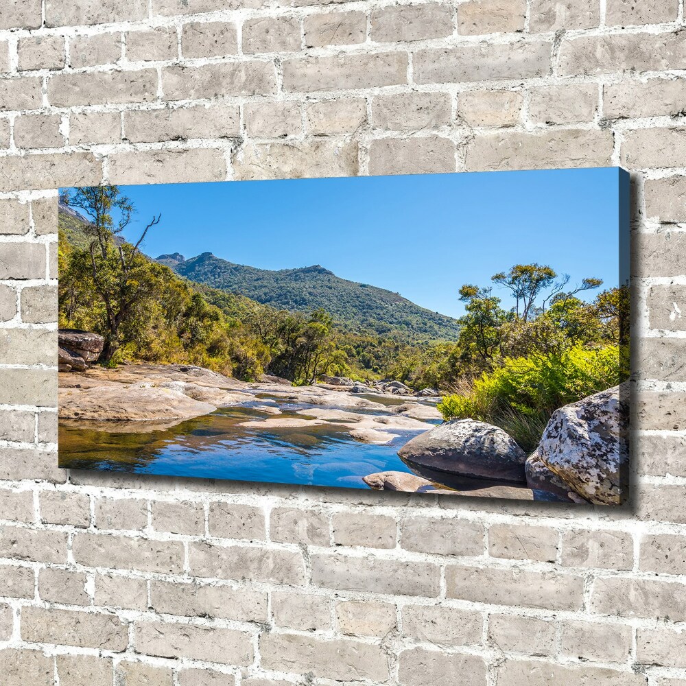 Tableau imprimé sur toile Rivière dans la forêt