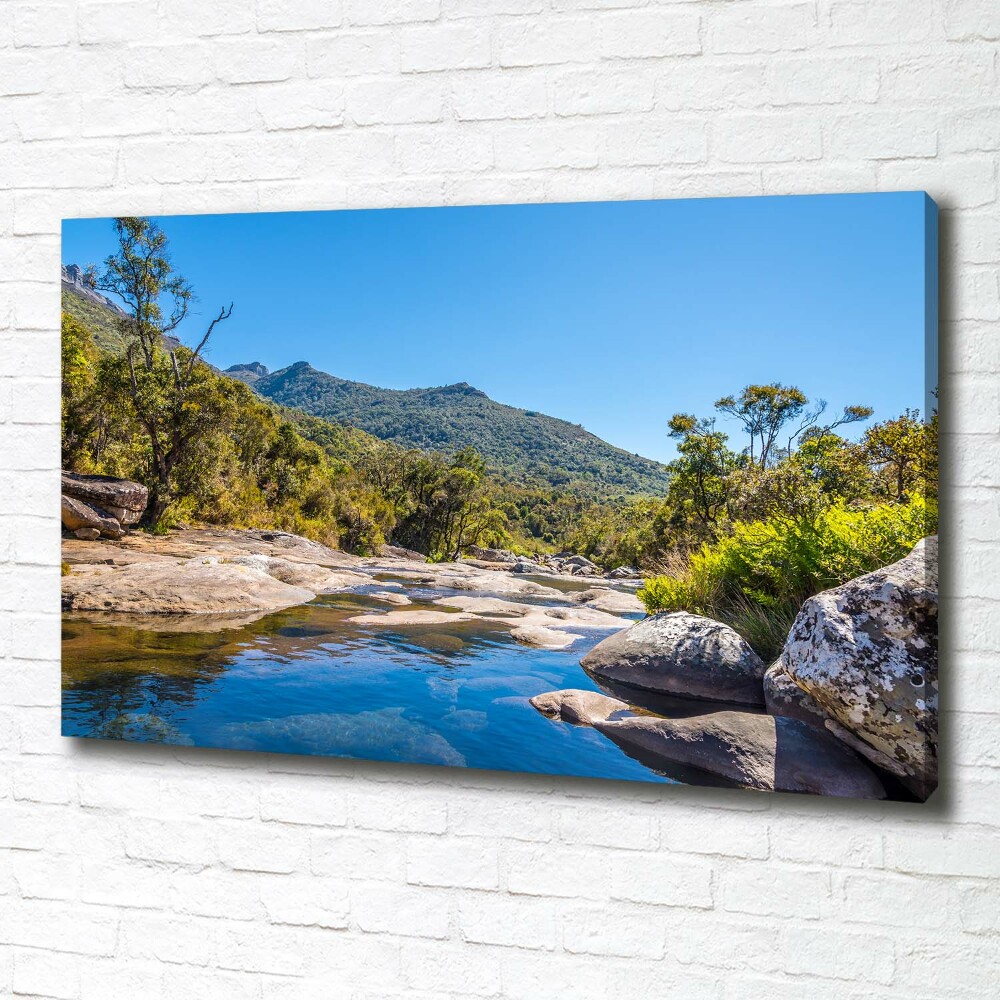 Tableau imprimé sur toile Rivière dans la forêt