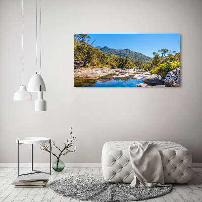 Tableau imprimé sur toile Rivière dans la forêt