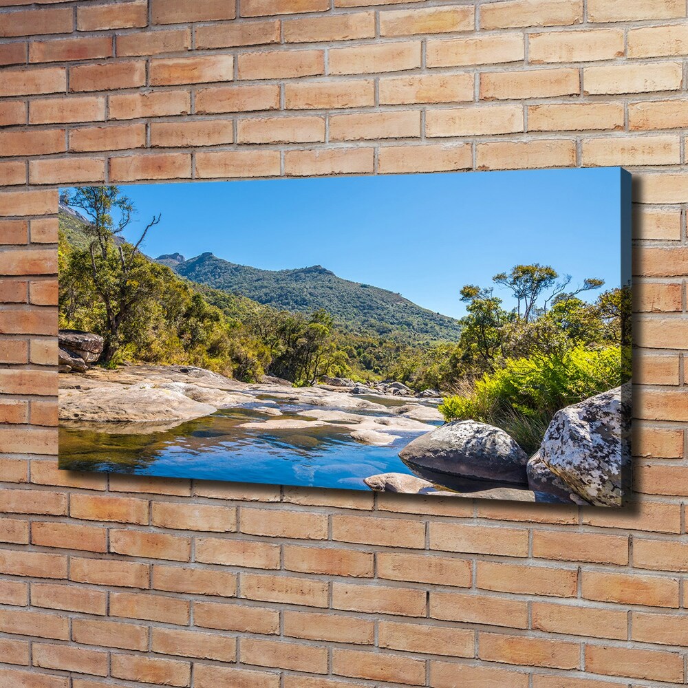 Tableau imprimé sur toile Rivière dans la forêt