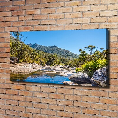 Tableau imprimé sur toile Rivière dans la forêt