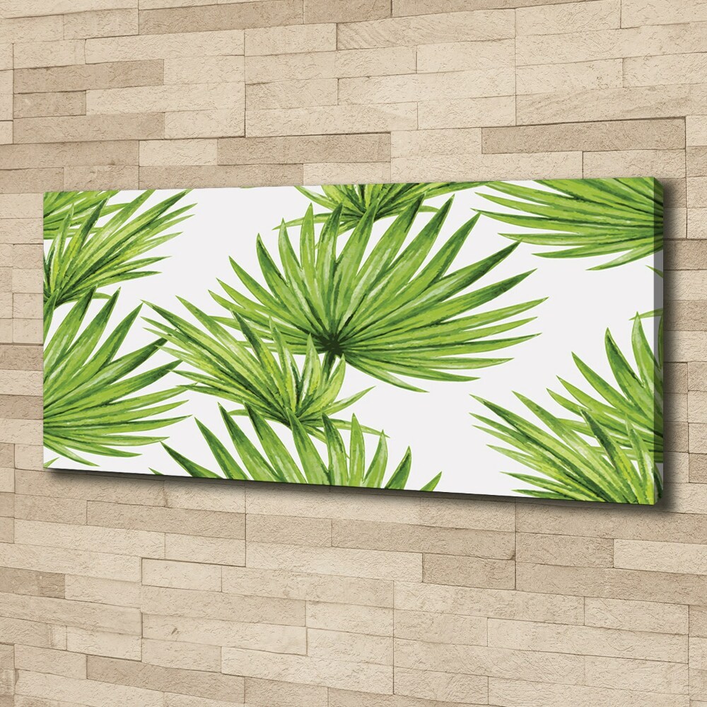 Tableau mural sur toile Feuilles tropicales éventail